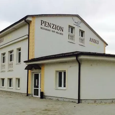 Pensjonat Aniko Gold ***